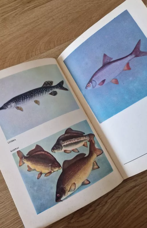 Žvejo vadovas - Ričardas Kazlauskas, knyga 4