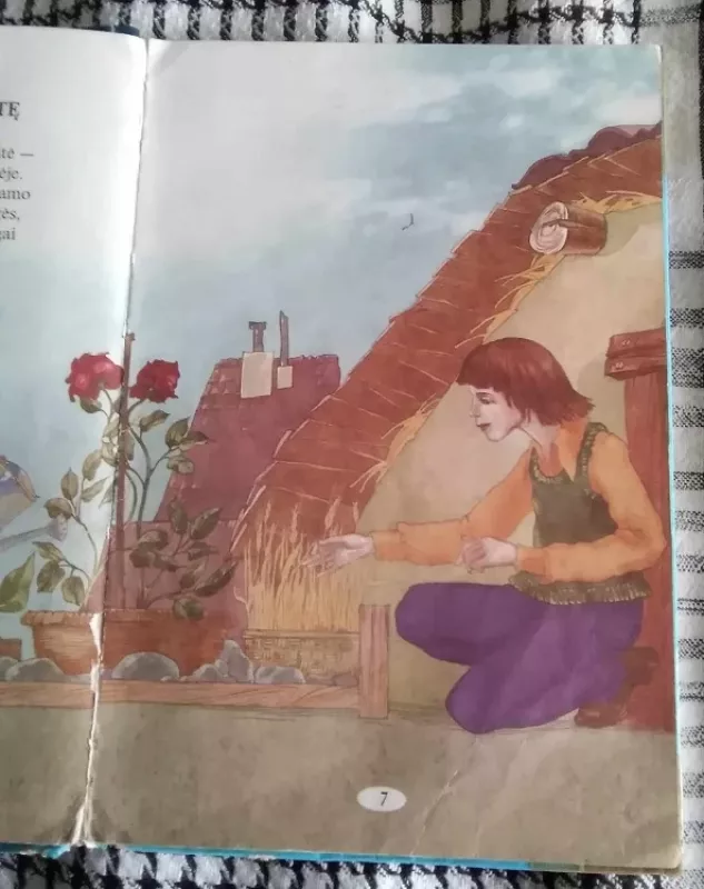 Sniego karalienė - H. K. Andersenas, knyga 6