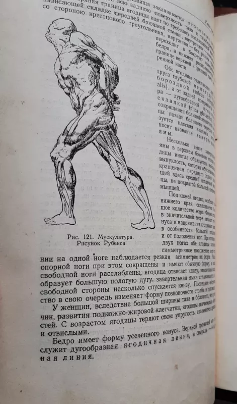 Пластическая анатомия - Г. Г. Павлов, knyga 6