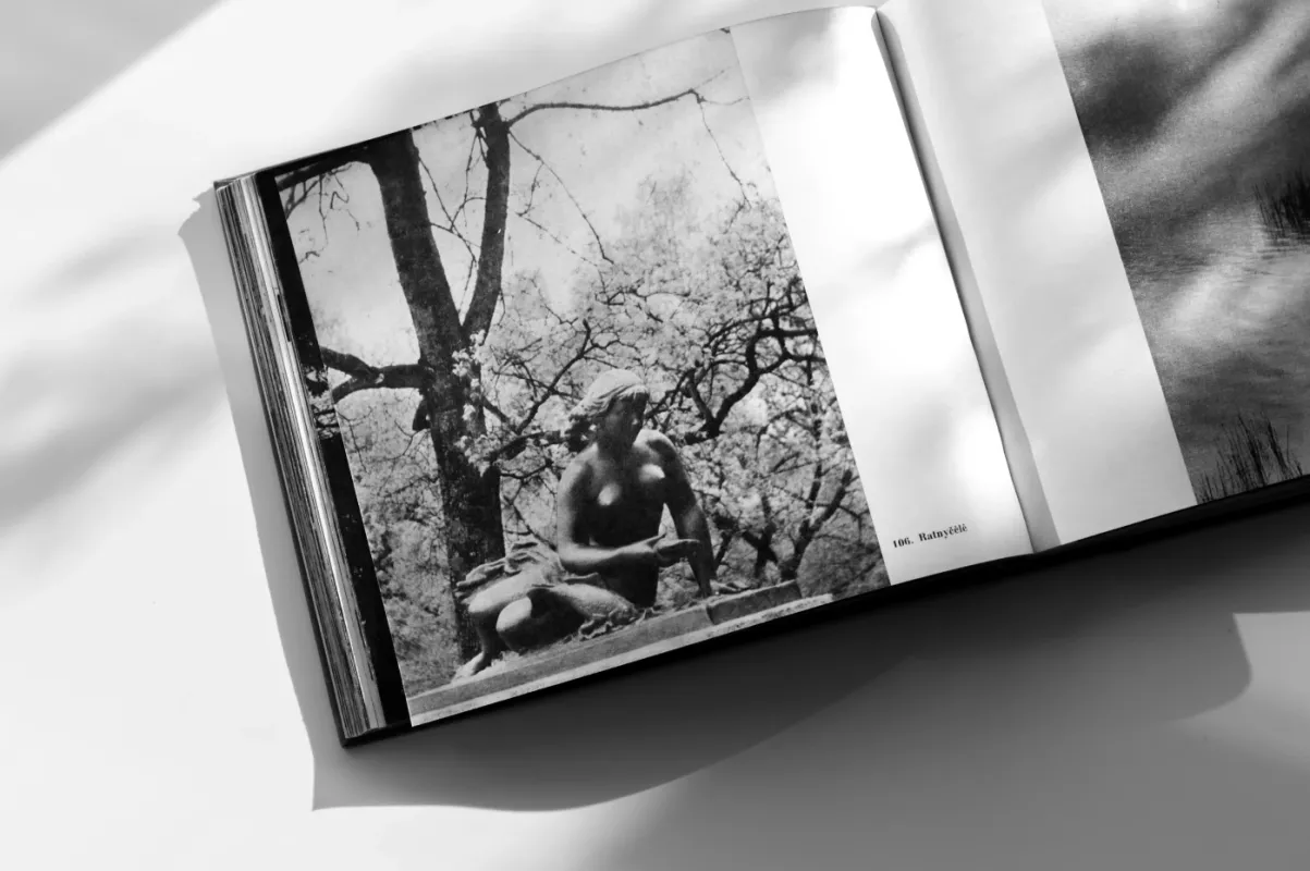 Tėviškė - Vytautas Ylevičius, knyga 4