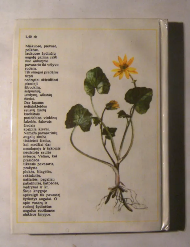 Pavasarį žydintys augalai - Živilė Lazdauskaitė, knyga 5