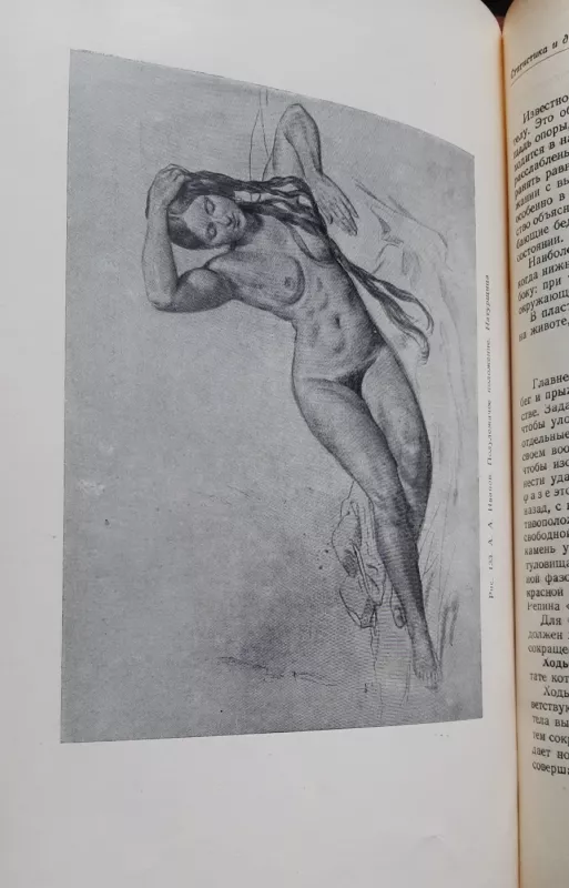 Пластическая анатомия - Г. Г. Павлов, knyga 5