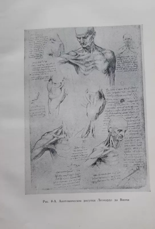 Пластическая анатомия - Г. Г. Павлов, knyga 3