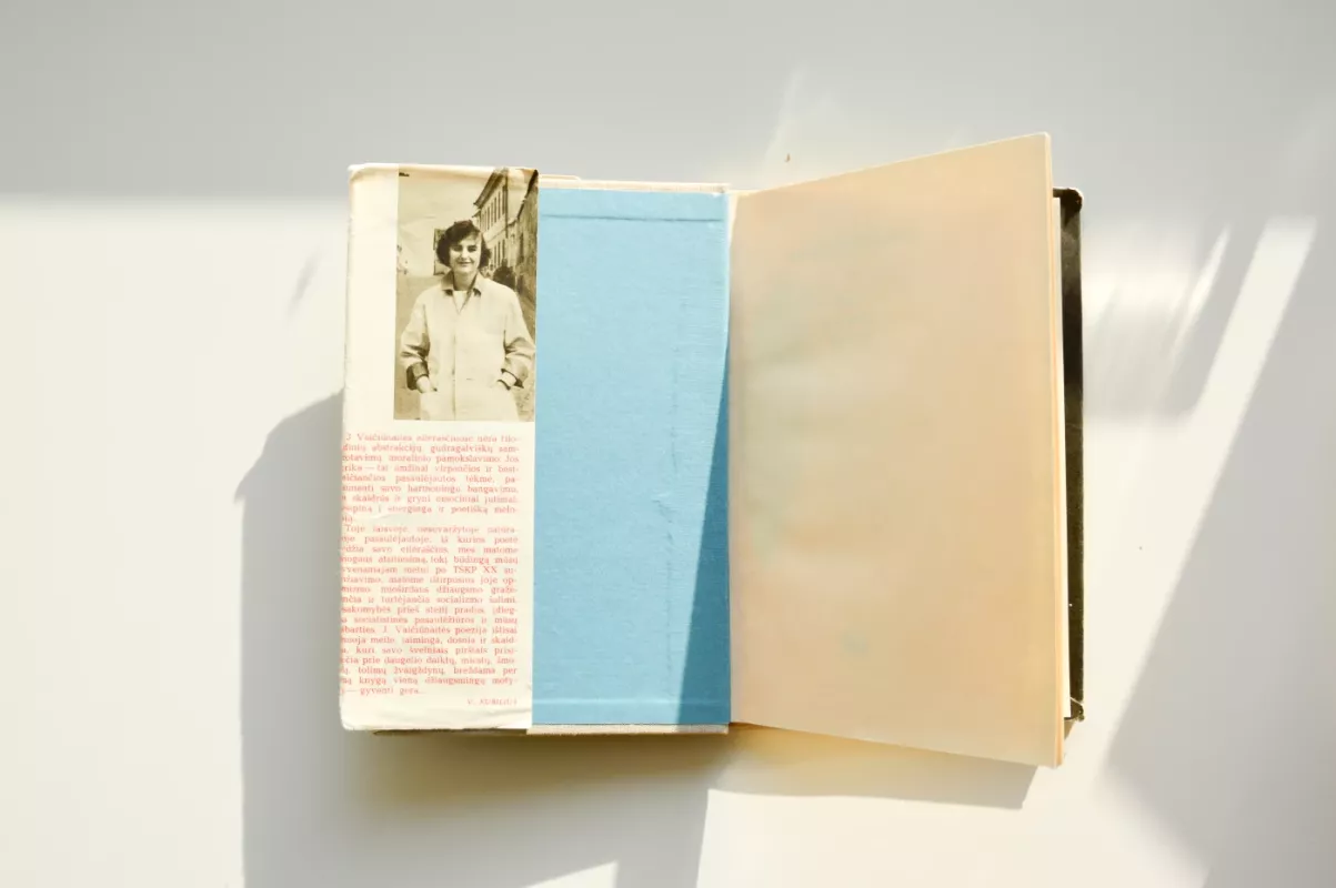 Per saulėtą gaublį - Judita Vaičiūnaitė, knyga 3