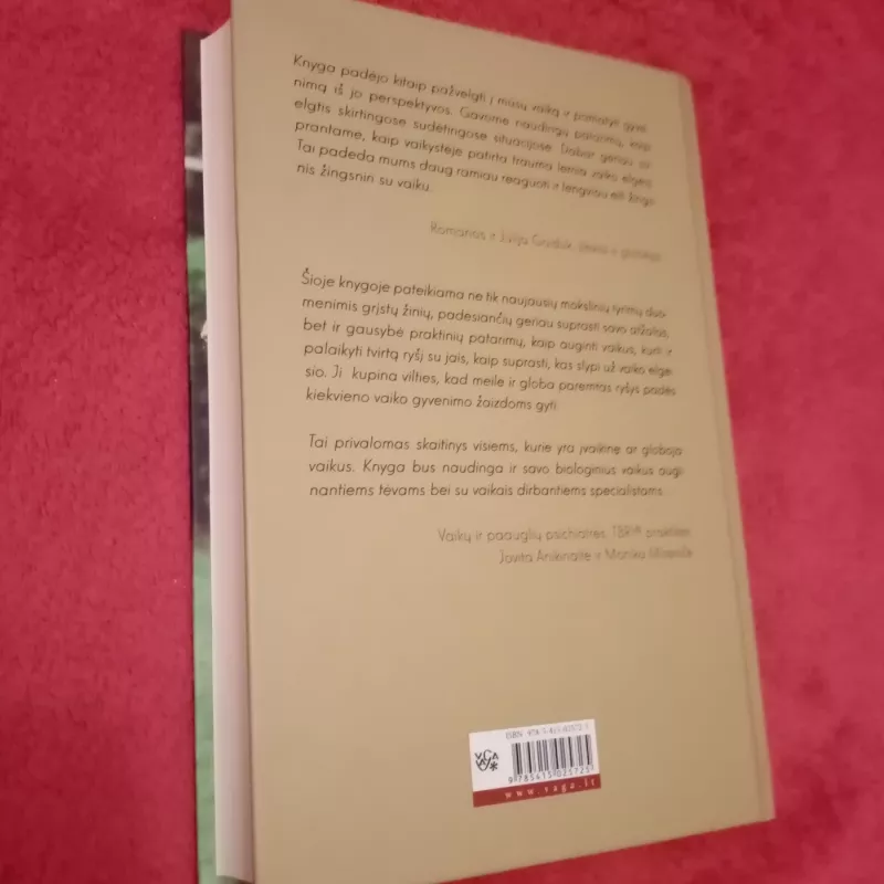 Ryšys su vaiku - Karyn Purvis, knyga 5