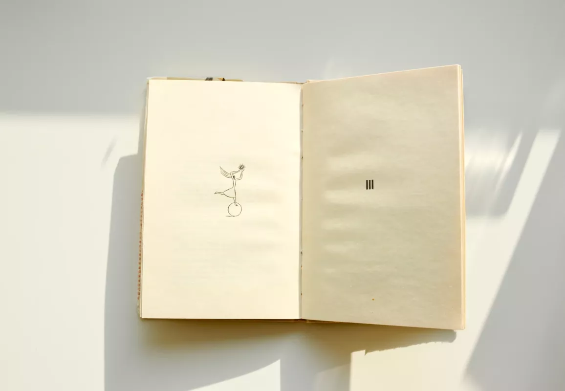 Per saulėtą gaublį - Judita Vaičiūnaitė, knyga 4