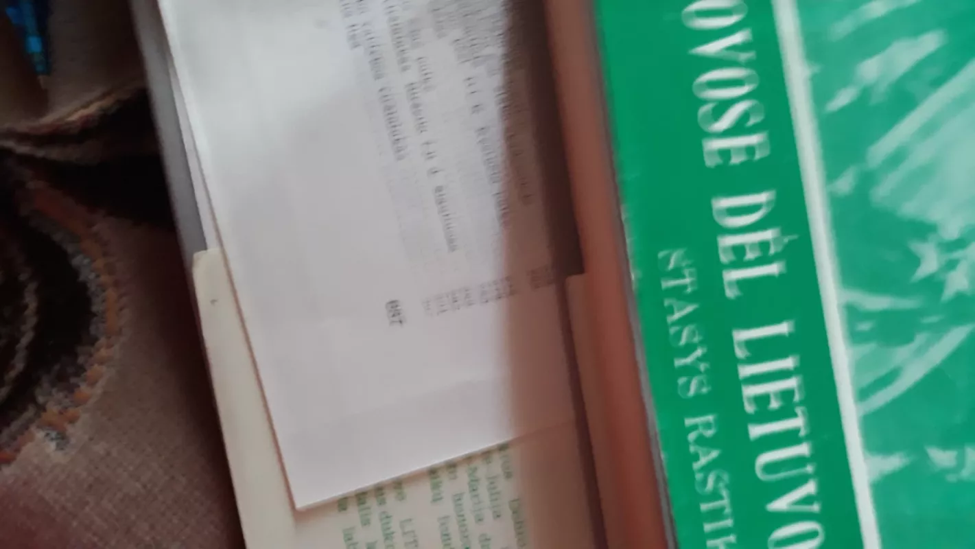 Kovose dėl Lietuvos (2 tomai) - Stasys Raštikis, knyga 5