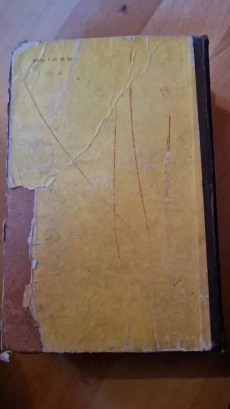 Dvylika kėdžių - Ilja Ilfas, Jevgenijus  Petrovas, knyga 5