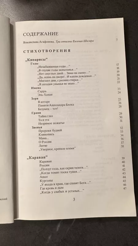 Vienas iš puslapių šiek tiek atidarytas... - Eugenijus Škliaras, knyga 4