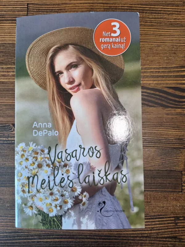 Vasaros meilės laiškas - Anna DePalo, knyga 2