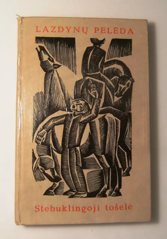 Stebuklingoji tošelė - Pelėda Lazdynų, knyga 4