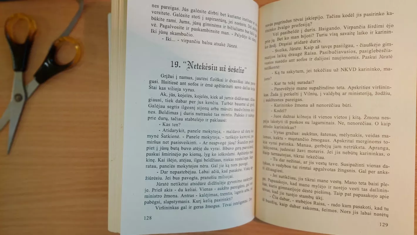 netekėsiu už šešėlio - Stasys Bataitis, knyga 4