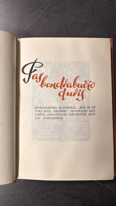 Dvidešimtas pavasaris - Justinas Marcinkevičius, knyga 5