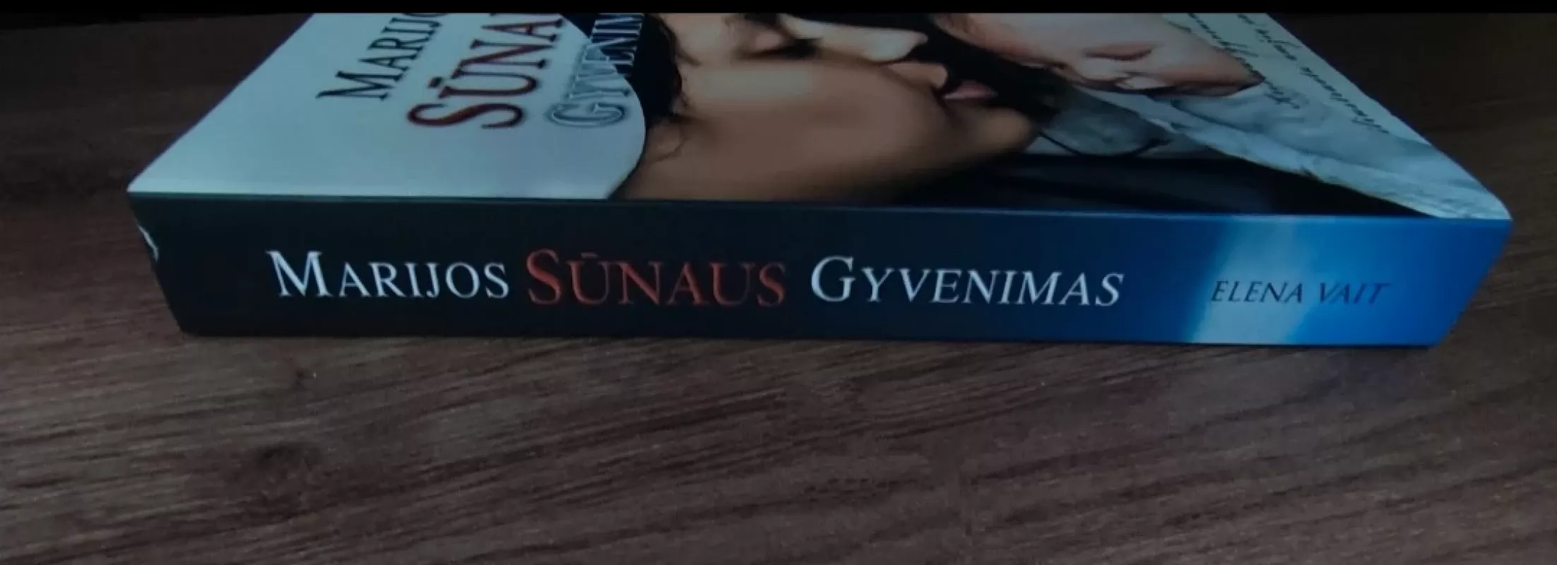 MARIJOS SŪNAUS GYVENIMAS - Elena Vait, knyga 3