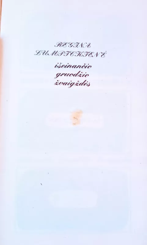 Išeinančio gruodžio žvagždės - R. Lumpickienė, knyga 3