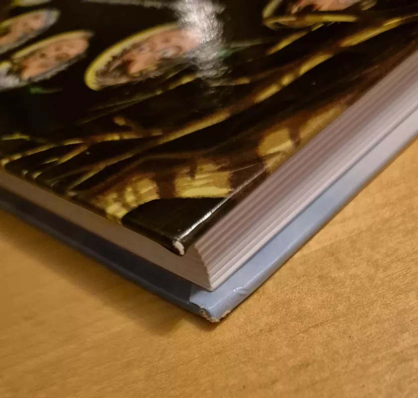 Vilkolakiukas Dolfas. Pilnatis - Paul van Loon, knyga 4