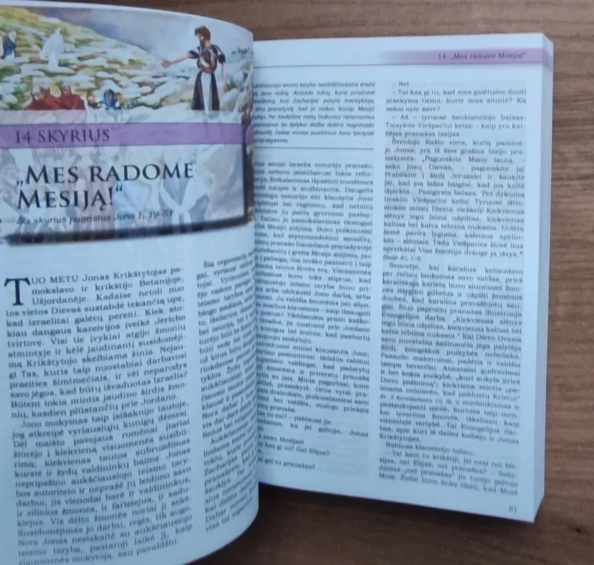 MARIJOS SŪNAUS GYVENIMAS - Elena Vait, knyga 5