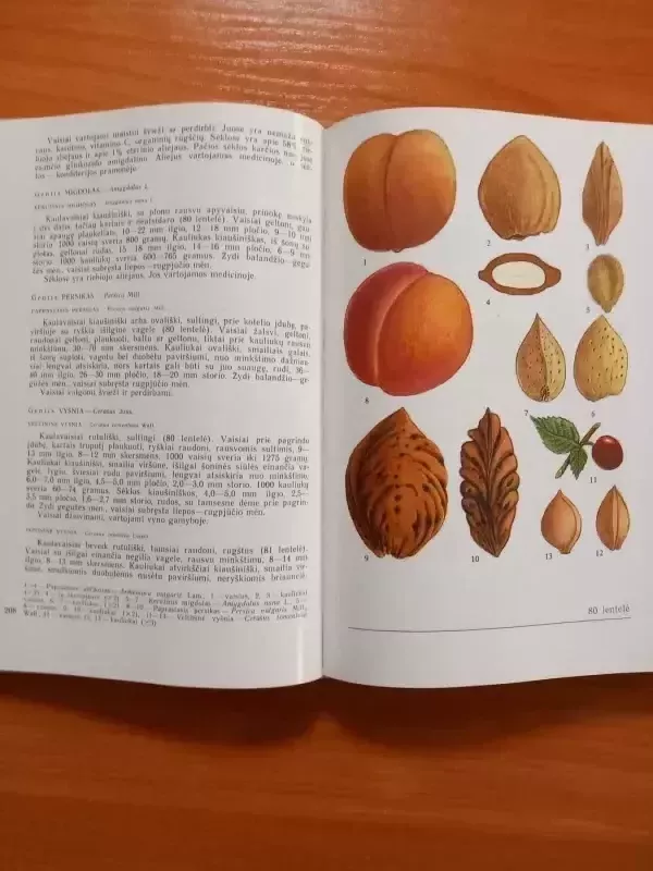 Lietuvos augalų vaisiai ir sėklos - Algirdas Grigas, knyga 5