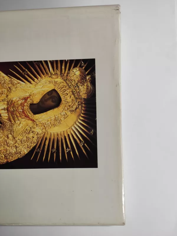 Lietuvos bažnyčių menas - Jonas Minkevičius, knyga 5