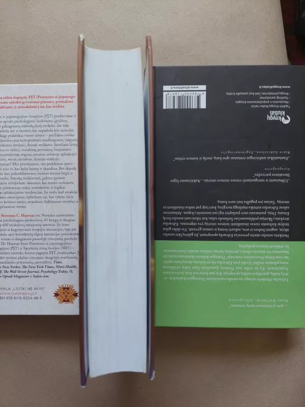 Kapitono Granto vaikai - Žiulis Vernas, knyga 5