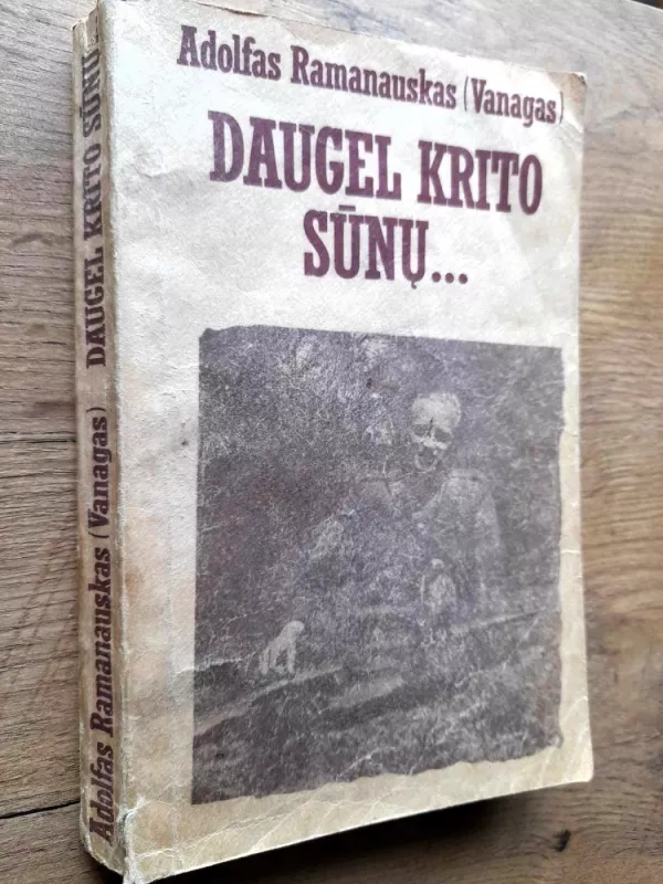 Daugel krito sūnų... - Adolfas Ramanauskas-Vanagas, knyga 2