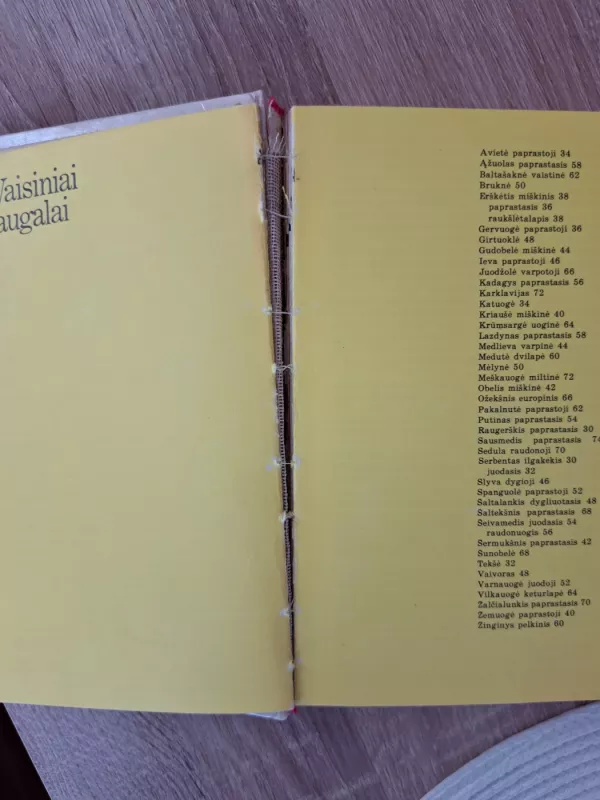 Mažieji miško turtai - V. Butkus, ir kiti , knyga 4