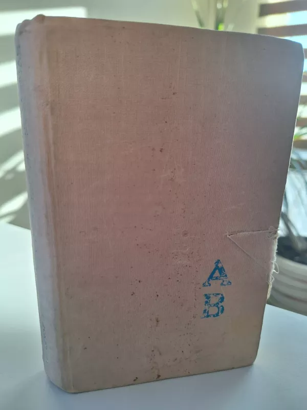 Kauno romanas - Alfonsas Bieliauskas, knyga 3