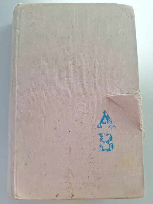 Kauno romanas - Alfonsas Bieliauskas, knyga 2