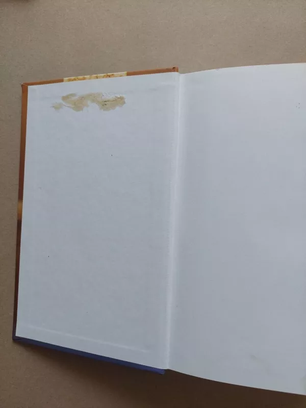 Kapitono Granto vaikai - Žiulis Vernas, knyga 3