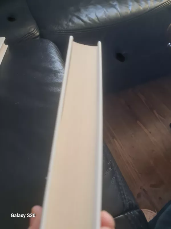 Ką pamatė šuo? - Malcolm Gladwell, knyga 3