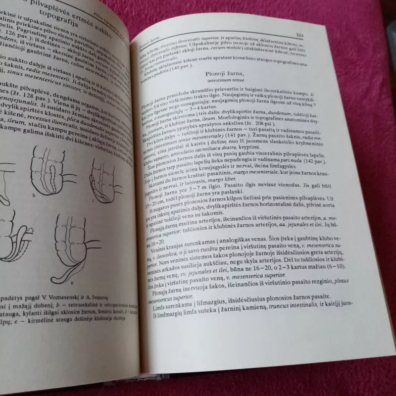 Topografinė anatomija ir operacinė chirurgija - Jurgis Brėdikis, knyga 4