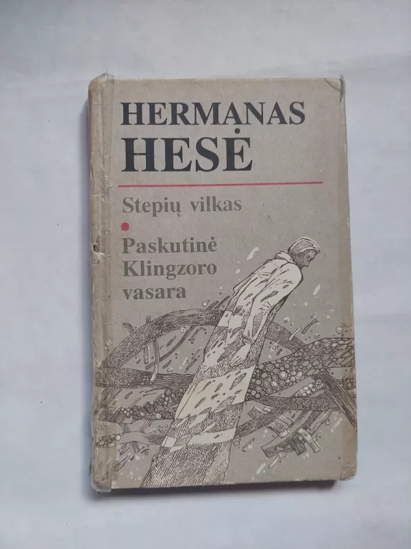 Stepių vilkas. Paskutinė Klingzoro vasara - Hermanas Hesė, knyga 2