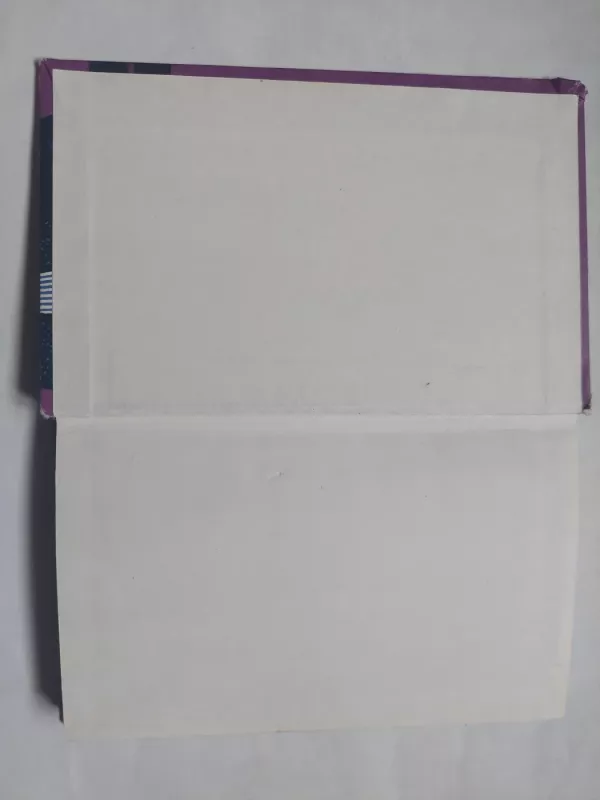 Dienų pasiklausiu - Steponas Algirdas Dačkevičius, knyga 3