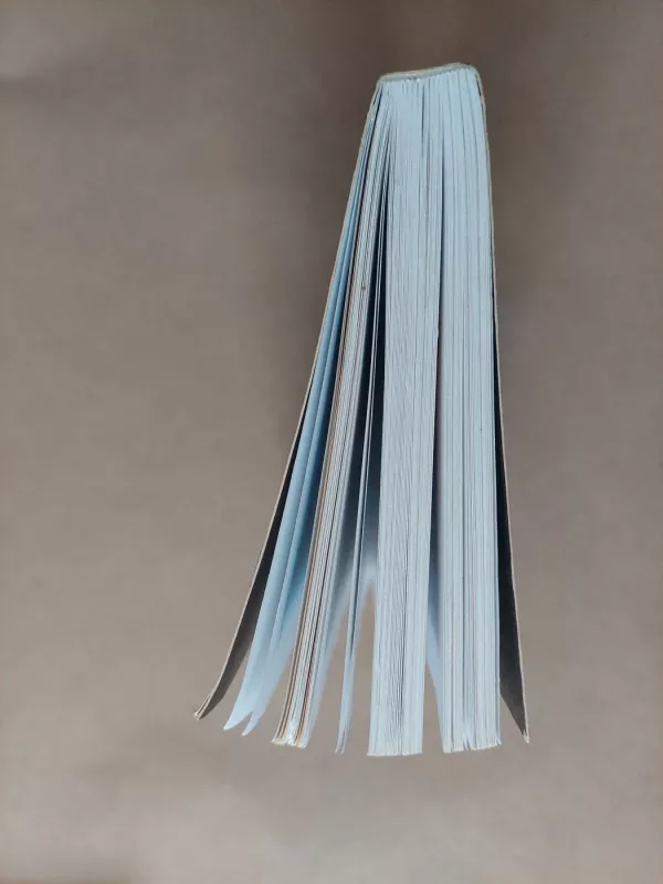 Da Vinčo kodas. Trumpas vadovas. Neautorizuotas vadovas apie knygą ir filmą - Michael Haag, Veronica  Haag, knyga 3