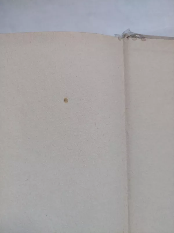 Stepių vilkas. Paskutinė Klingzoro vasara - Hermanas Hesė, knyga 4