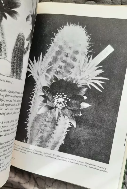 Lovec kaktusů - Karel Crkal, knyga 3