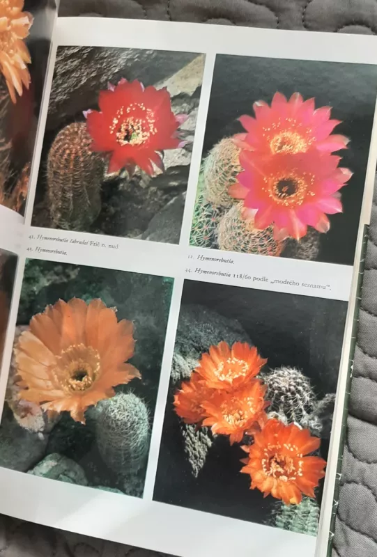 Lovec kaktusů - Karel Crkal, knyga 4