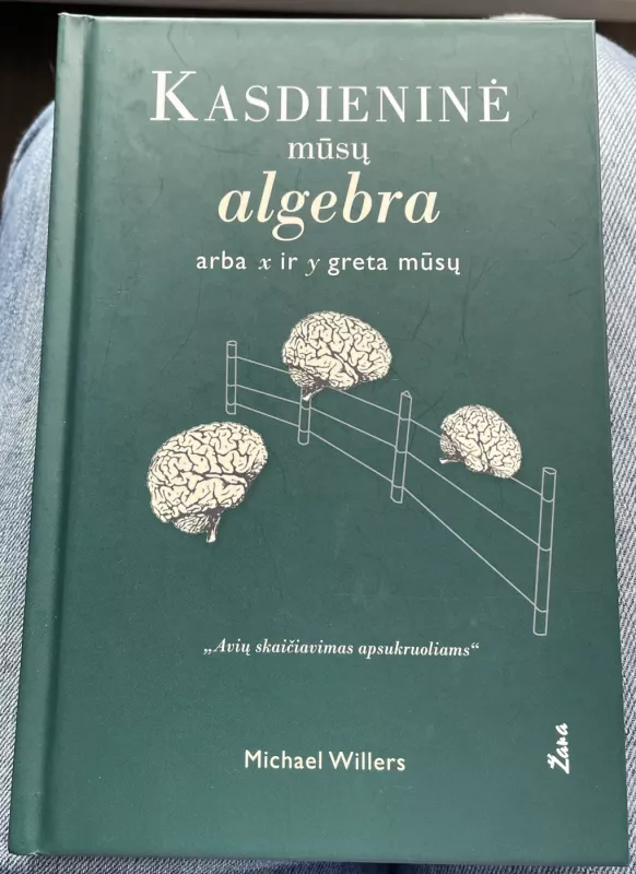 Kasdieninė mūsų algebra - Michael Willers, knyga 2
