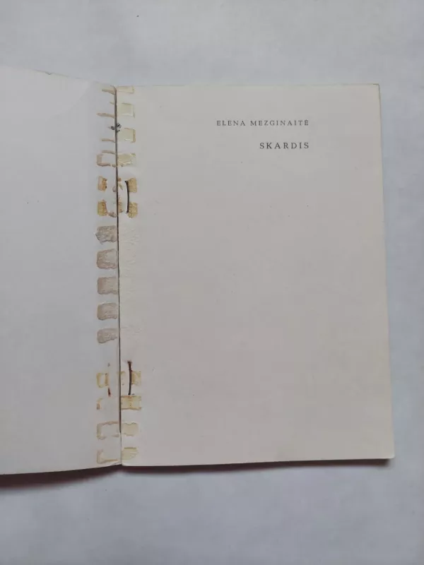 Skardis - Elena Mezginaitė, knyga 2
