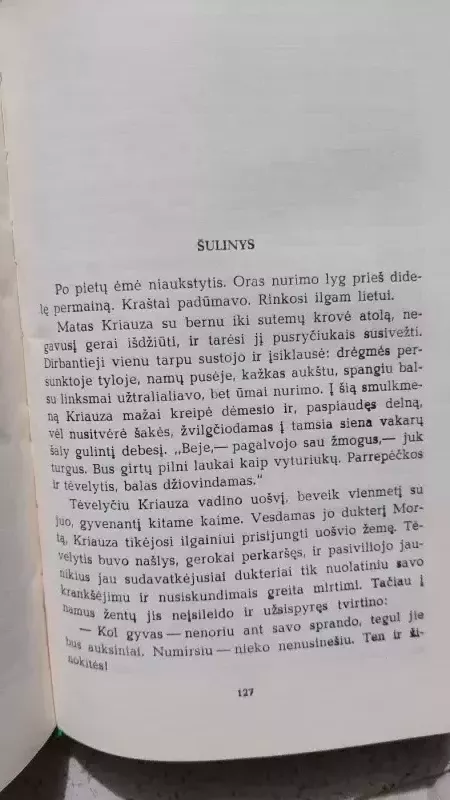 Ąžuolas - Petras Cvirka, knyga 5