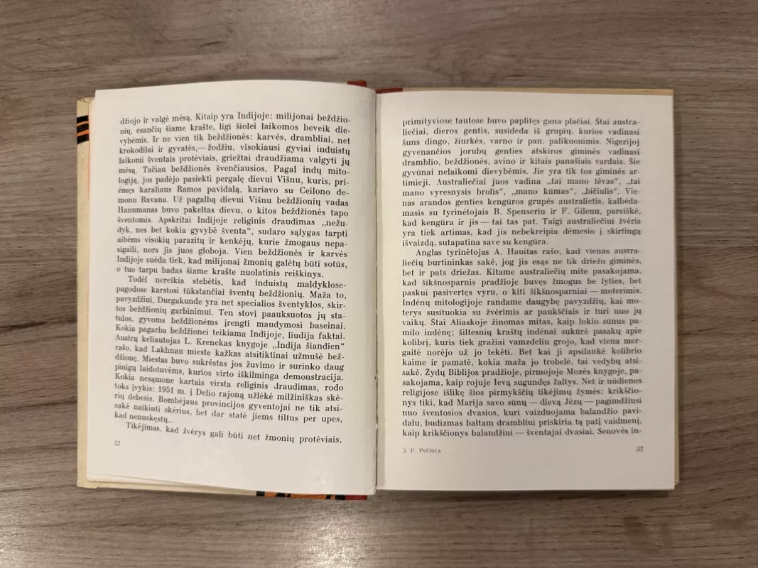 Šventieji klaidžiojimai - Petras Pečiūra, knyga 4