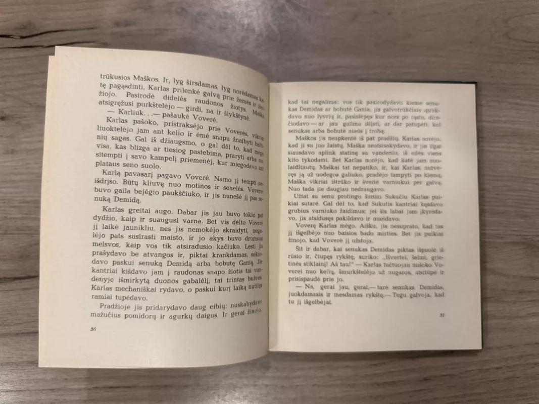 Olchovkos Voverė - Antonina Korytkovskaja, knyga 4