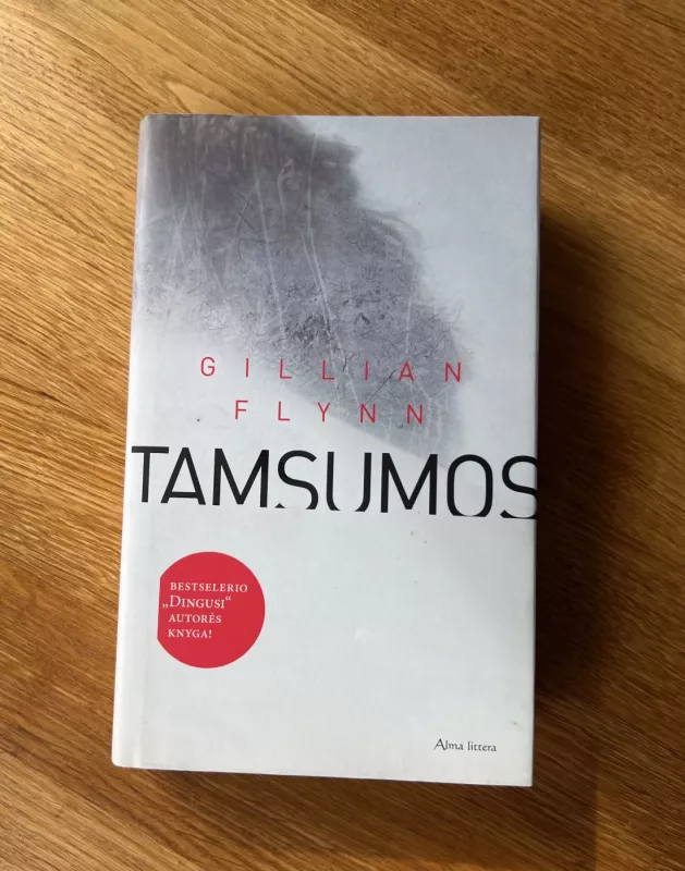 Tamsumos - Gillian Flynn, knyga 2