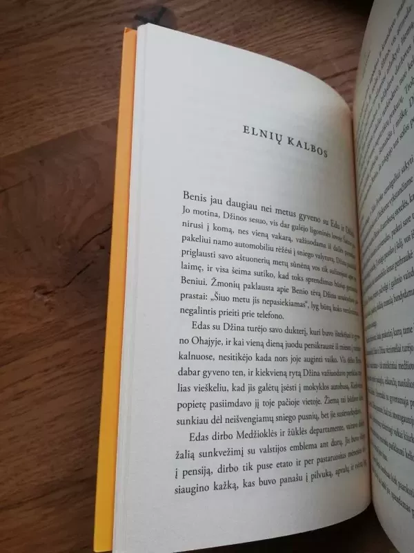 Piligrimai - Elizabeth Gilbert, knyga 5