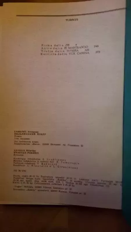 Vilniaus pokeris - Ričardas Gavelis, knyga 4