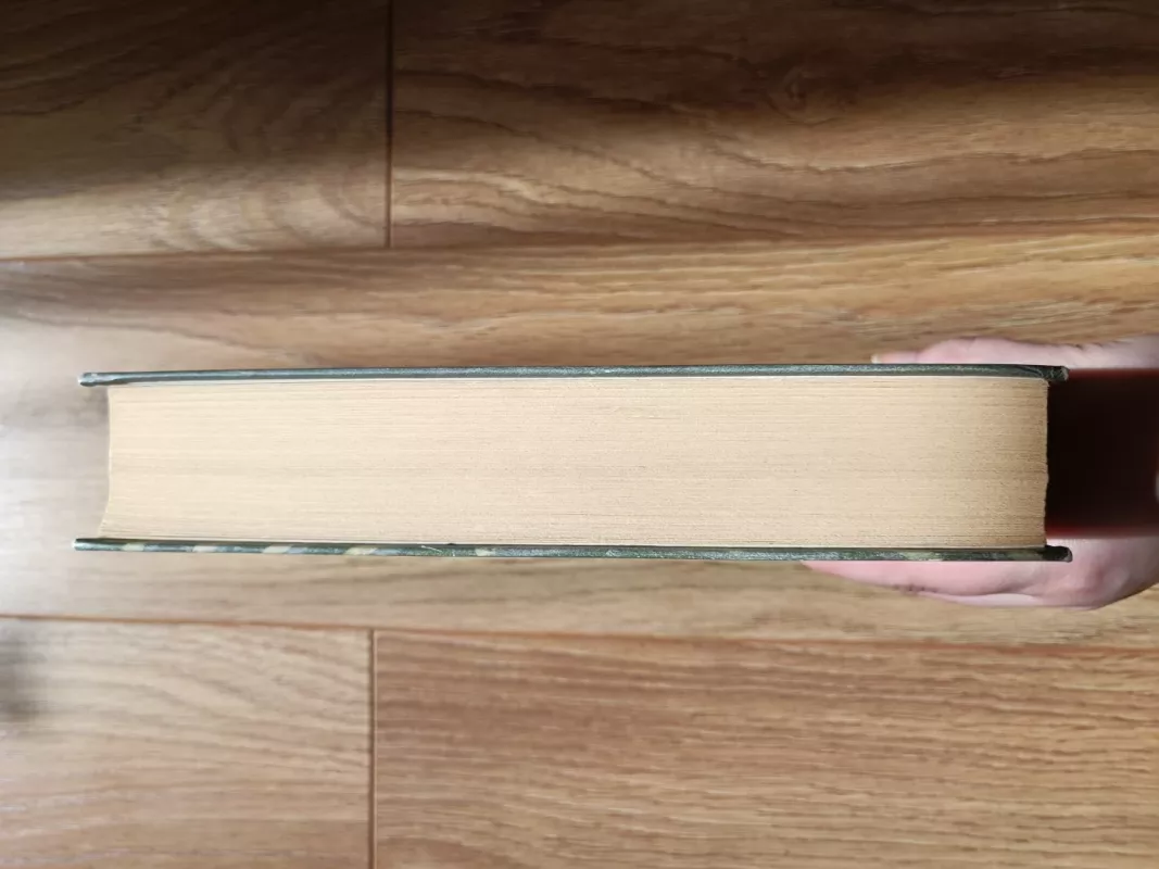 Labirintas - Kate Mosse, knyga 4