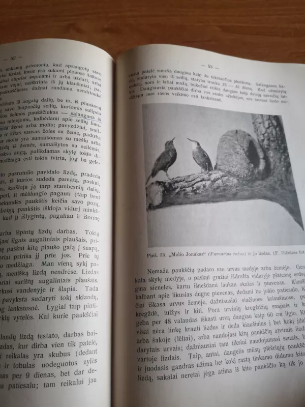 Lietuvos paukščiai - Tadas Ivanauskas, knyga 6