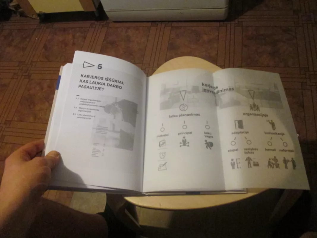 Karjeros kūrimas - Vilija Stanišauskienė, knyga 4