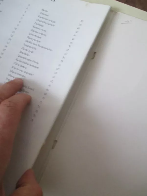 Vilko blynas - Valentinas Bagdonas, knyga 5