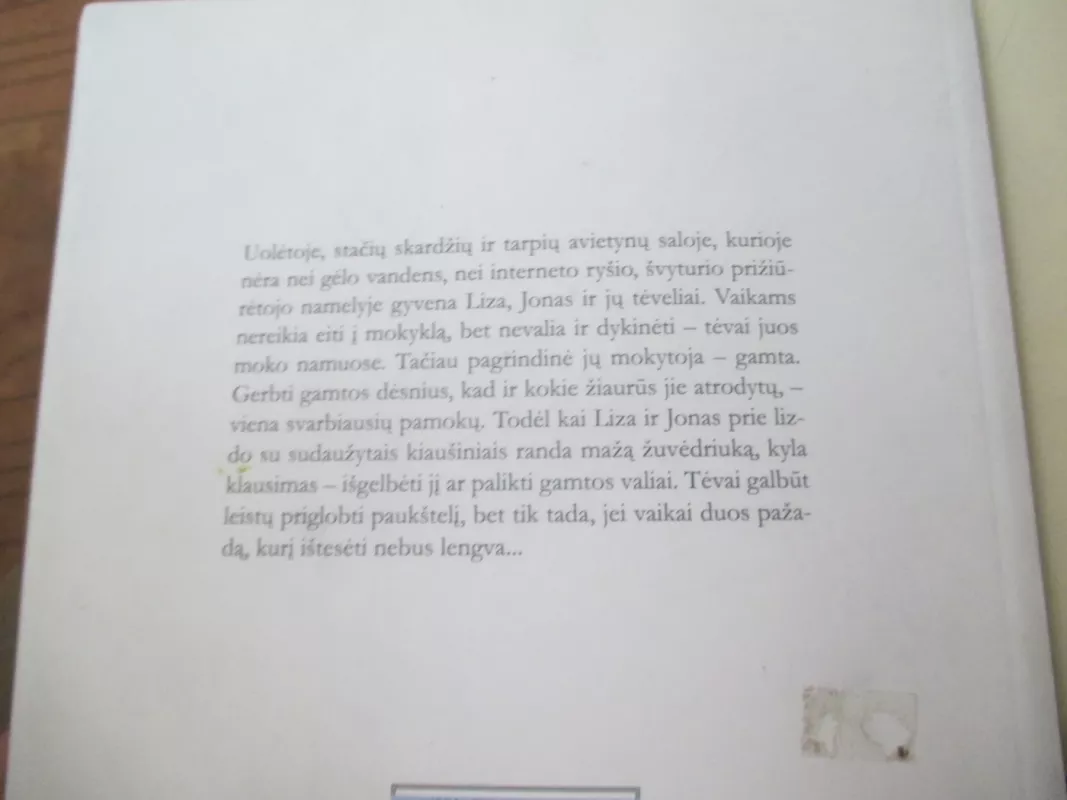 Juk pažadėjai - Laima Vincė, knyga 5